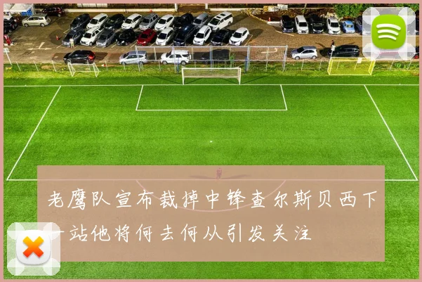 老鹰队宣布裁掉中锋查尔斯贝西下一站他将何去何从引发关注