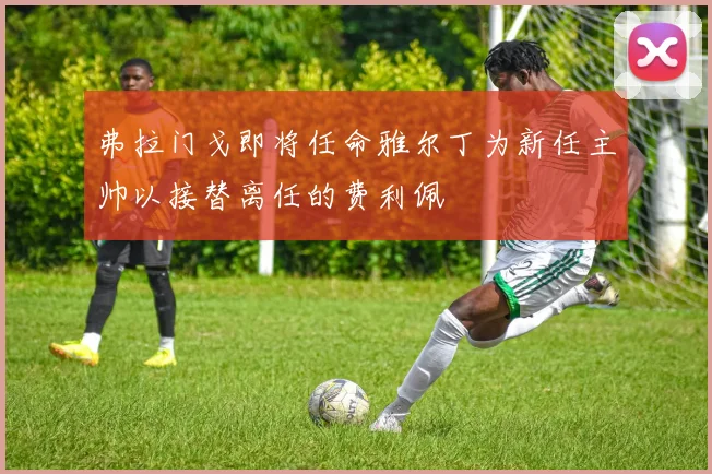 弗拉门戈即将任命雅尔丁为新任主帅以接替离任的费利佩