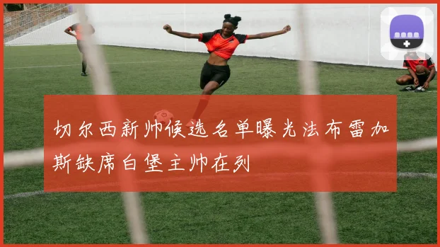 切尔西新帅候选名单曝光法布雷加斯缺席白堡主帅在列