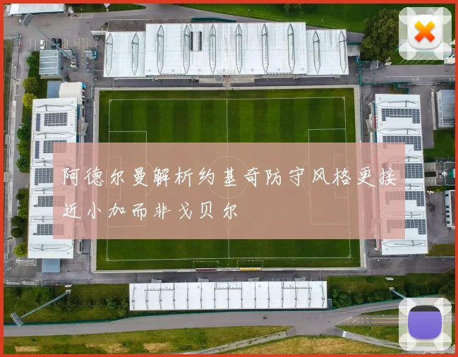 阿德尔曼解析约基奇防守风格更接近小加而非戈贝尔